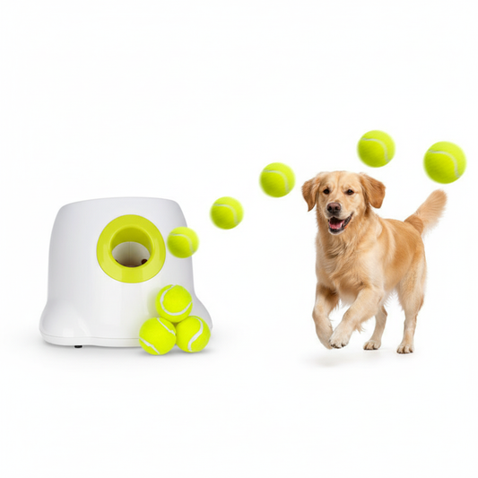 Ball Launcher