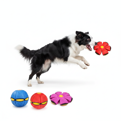 Flying Disc Ball